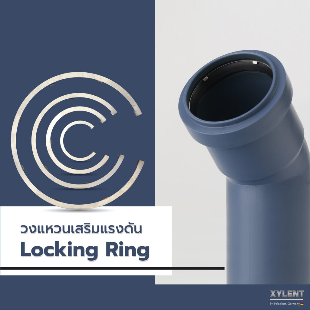 Locking Ring วงแหวนสแตนเลสเสริมแรงดัน